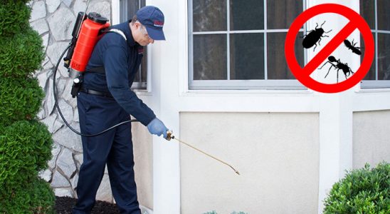 Yusufeli Dezenfeksiyon böcek ilaçlama ve haşere kontrolü — ilaclama-tr.com